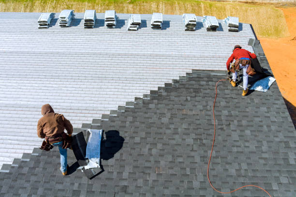 Best Storm Damage Roof Repair  in Talluh, LA