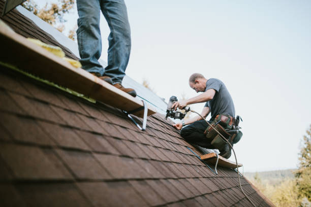 Best Gutter Installation and Roofing  in Talluh, LA